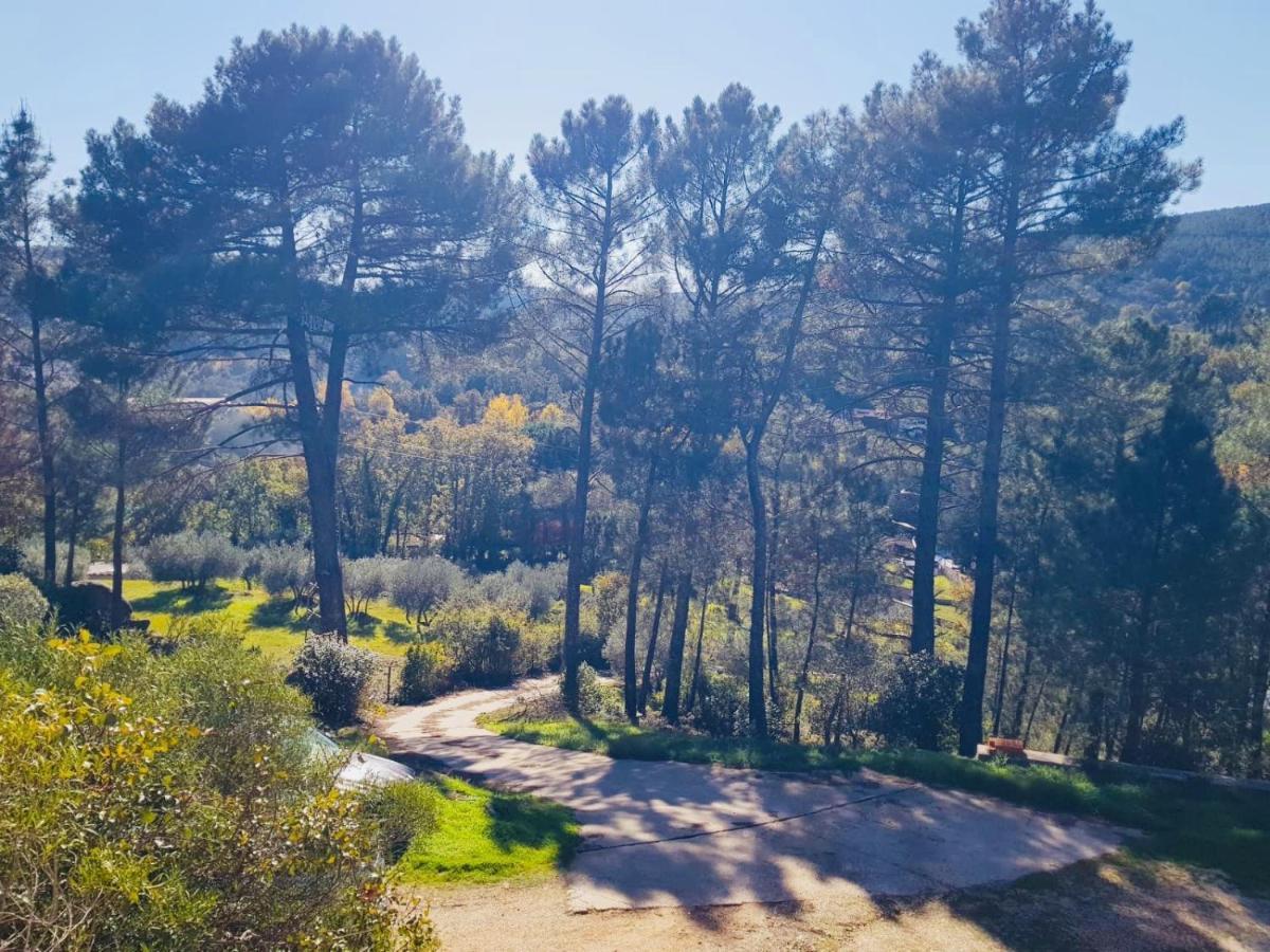 Вилла Casa Paco De Gredos Аренас-де-Сан-Педро Экстерьер фото